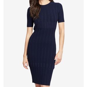 Rachel Roy Sweater Dress